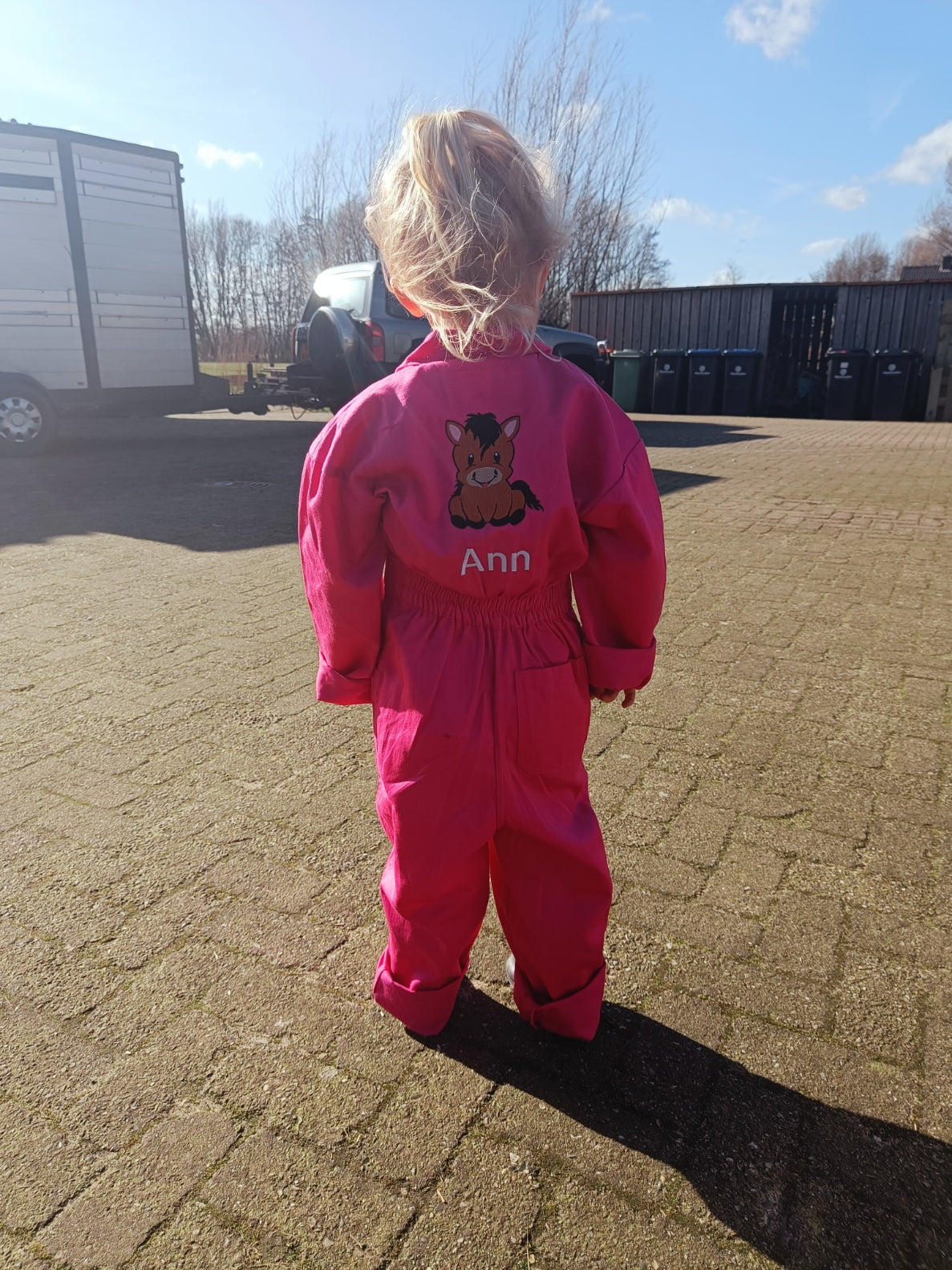 Overal met Bruine Koe