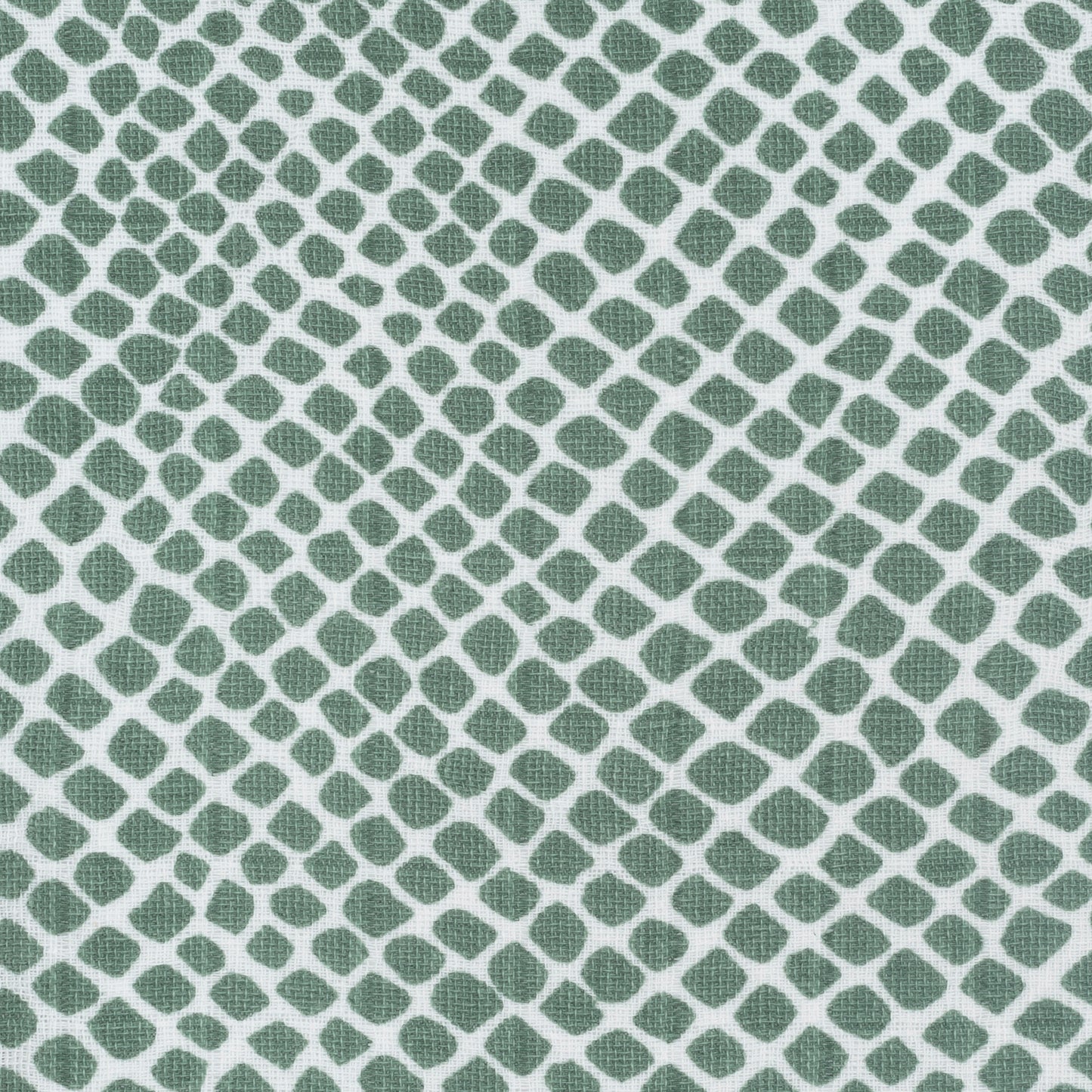 Cadeaupakket Snake Green middel
